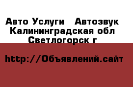 Авто Услуги - Автозвук. Калининградская обл.,Светлогорск г.